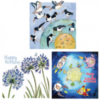<span>Shop for Emma Ball greetings cards, small cards, large cards from original watercolours.</span>