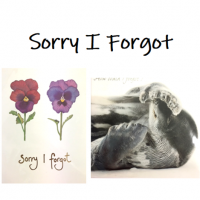 Shop for Sorry, Sorry I Forgot &amp; Belated Birthday cards at Morrab Studio
