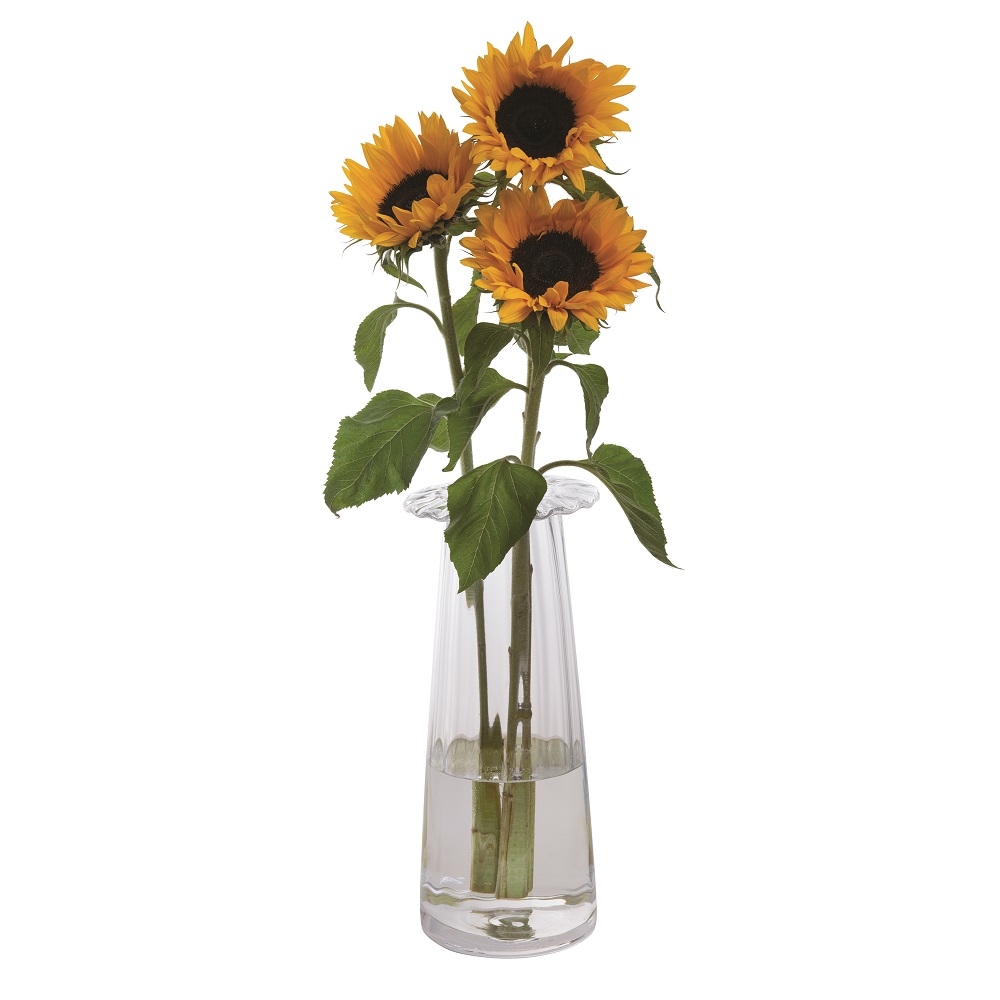 DARTINGTON Florabundance Sunflower Vase VA3027
