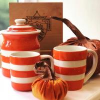 Cornishware's UK pottery has produced a very special edition Cornish Orange mug collection, perfect for cosy Autumn evenings. They've now begun to expand the collection by creating Cornish Orange storage jars to celebrate the new favourite colour.<strong><strong><br /><br />Official UK Stockist</strong></strong>