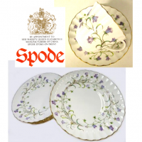 <span>Beautifully observed and subtly varied studies of the harebell, with its slender stems and graceful flowers, create this delicate and sensitive design in fine bone china.</span><br /><br />All our stock is new from the supplier, Spode.&nbsp;<br /><br />*This is a discontinued range so only available while stock lasts.*<br /><br /><strong>Offical UK Stockist</strong>