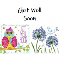 Shop for Get Well Soon cards at Morrab Studio